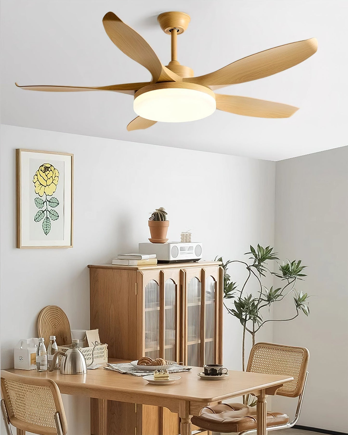 Splenda Ceiling Fan Light