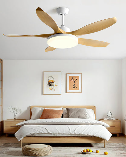 Splenda Ceiling Fan Light