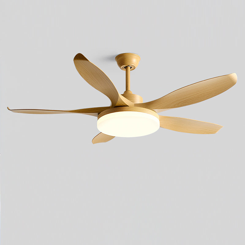 Splenda Ceiling Fan Light