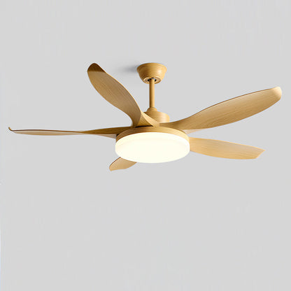 Splenda Ceiling Fan Light