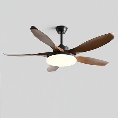 Splenda Ceiling Fan Light