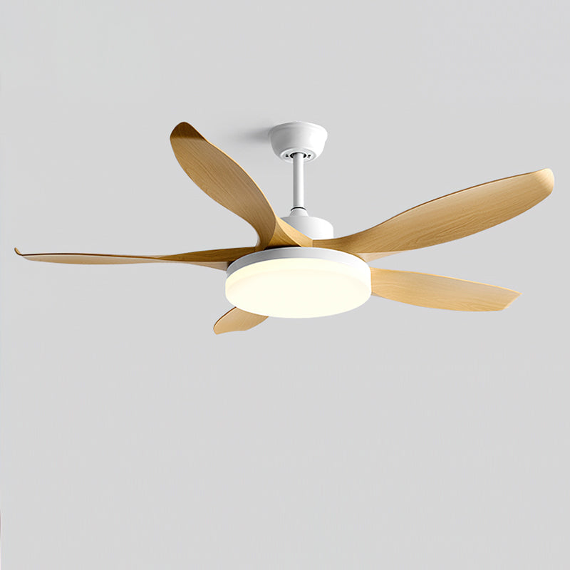 Splenda Ceiling Fan Light
