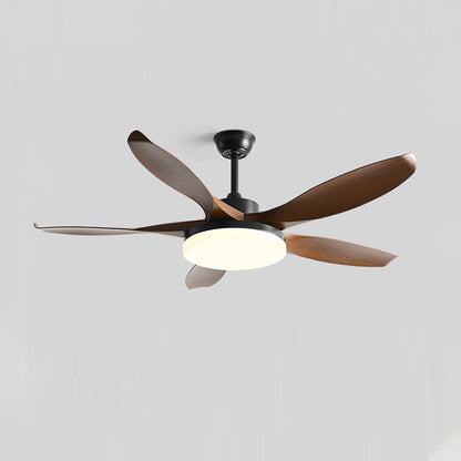 Splenda Ceiling Fan Light