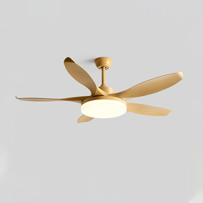 Splenda Ceiling Fan Light